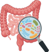 Gut Health